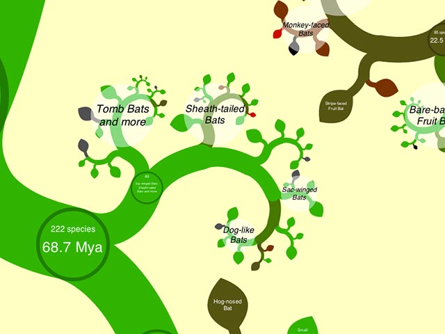 open-tree-life-1 Capture d'écran du site - OneZoom Tree of Life Explorer